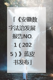 《安徽数字法治发展报告NO.1（2025）》蓝皮书发布