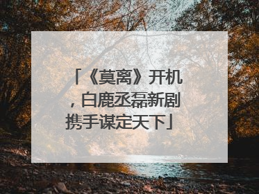 《莫离》开机，白鹿丞磊新剧携手谋定天下