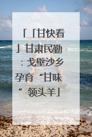 「甘快看」甘肃民勤：戈壁沙乡孕育“甘味”领头羊
