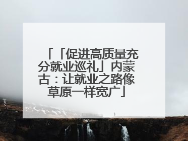 「促进高质量充分就业巡礼」内蒙古：让就业之路像草原一样宽广