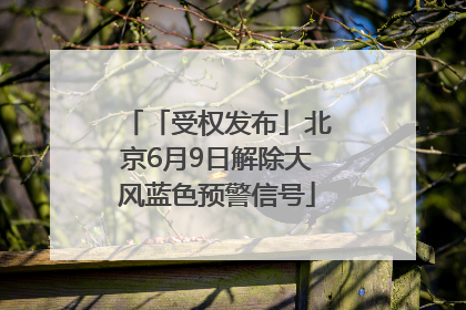 「受权发布」北京6月9日解除大风蓝色预警信号