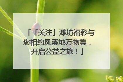 「关注」潍坊福彩与您相约凤溪地万物集，开启公益之旅！