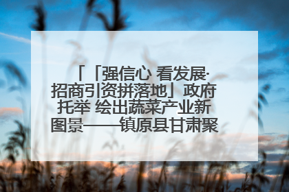 「强信心 看发展·招商引资拼落地」政府托举 绘出蔬菜产业新图景——镇原县甘肃聚广利现代设施蔬菜种植基地见闻
