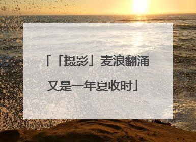 「摄影」麦浪翻涌 又是一年夏收时