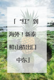 “红”到海外！新泰鲜山楂出口中东
