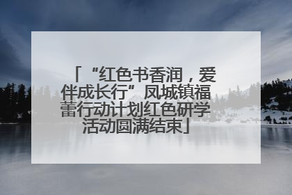 “红色书香润，爱伴成长行”凤城镇福蕾行动计划红色研学活动圆满结束
