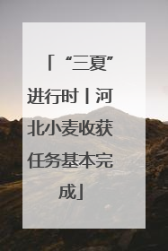 “三夏”进行时丨河北小麦收获任务基本完成