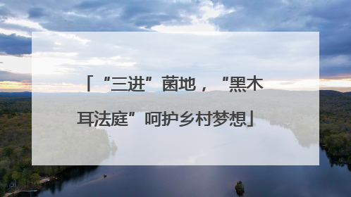 “三进”菌地，“黑木耳法庭”呵护乡村梦想