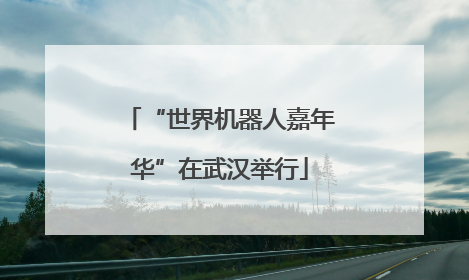 “世界机器人嘉年华”在武汉举行