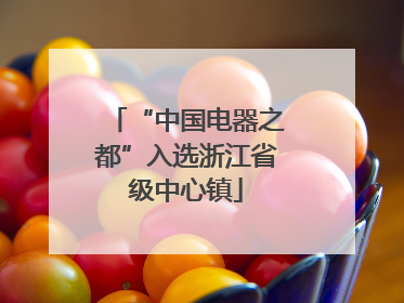 “中国电器之都”入选浙江省级中心镇