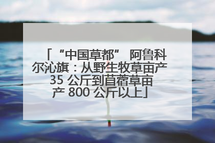 “中国草都” 阿鲁科尔沁旗：从野生牧草亩产 35 公斤到苜蓿草亩产 800 公斤以上