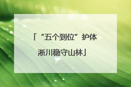 “五个到位”护体 淅川稳守山林