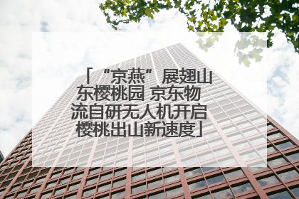 “京燕”展翅山东樱桃园 京东物流自研无人机开启樱桃出山新速度