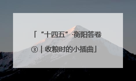 “十四五”·衡阳答卷③｜收粮时的小插曲