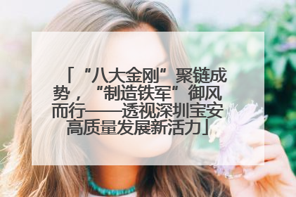 “八大金刚”聚链成势，“制造铁军”御风而行——透视深圳宝安高质量发展新活力