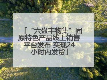 “六盘丰物集”固原特色产品线上销售平台发布 实现24小时内发货