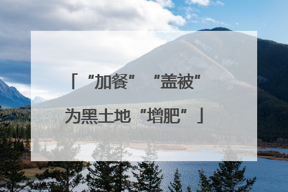“加餐”“盖被” 为黑土地“增肥”