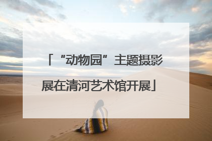 “动物园”主题摄影展在清河艺术馆开展