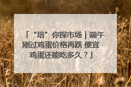 “培”你探市场｜端午刚过鸡蛋价格再跌 便宜鸡蛋还能吃多久？