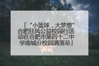 “小篮球，大梦想”合肥狂风公益校园行活动在合肥市第四十二中学南城分校圆满落幕