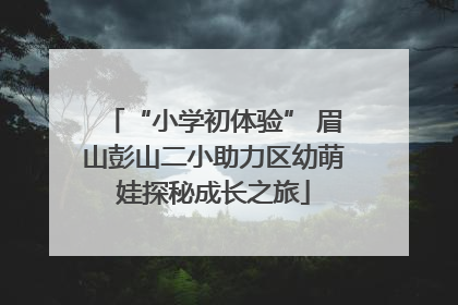 “小学初体验” 眉山彭山二小助力区幼萌娃探秘成长之旅