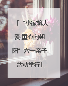“小家筑大爱·童心向朝阳”六一亲子活动举行