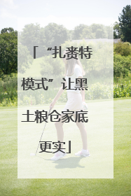 “扎赉特模式”让黑土粮仓家底更实