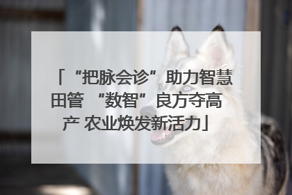 “把脉会诊”助力智慧田管 “数智”良方夺高产 农业焕发新活力