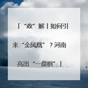 “政”解丨如何引来“金凤凰”？河南亮出“一盘棋”