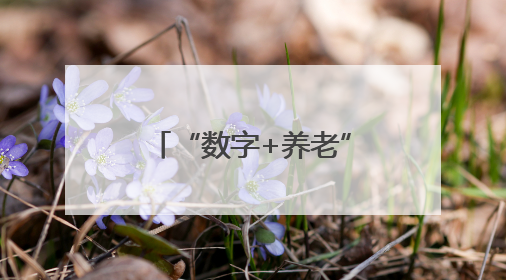 “数字+养老”迈入新阶段，上海电信推动“社区嵌入式服务体系”落地见效
