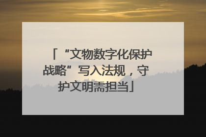 “文物数字化保护战略”写入法规，守护文明需担当