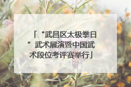 “武昌区太极拳日”武术展演暨中国武术段位考评赛举行