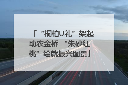 “桐柏U礼”架起助农金桥 “朱砂红桃”绘就振兴图景