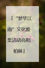 “梦华江南”文化雅集活动亮相柏林