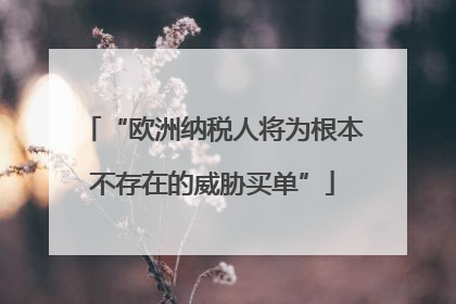 “欧洲纳税人将为根本不存在的威胁买单”