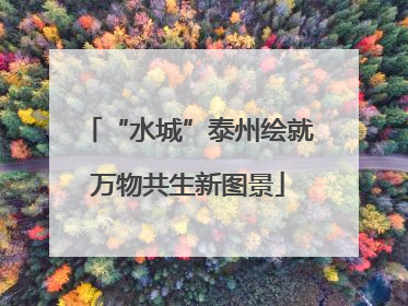 “水城”泰州绘就万物共生新图景