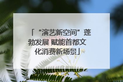 “演艺新空间”蓬勃发展 赋能首都文化消费新场景