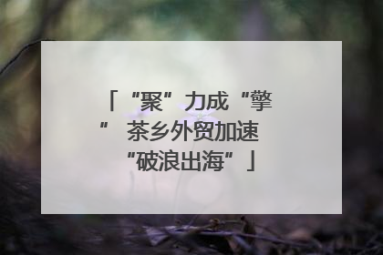 “聚”力成“擎” 茶乡外贸加速“破浪出海”