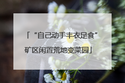 “自己动手丰衣足食”矿区闲置荒地变菜园