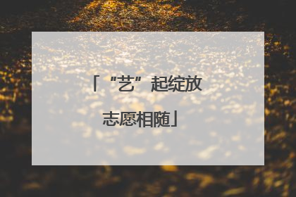 “艺”起绽放 志愿相随