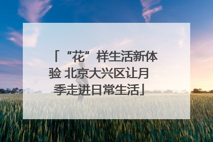 “花”样生活新体验 北京大兴区让月季走进日常生活