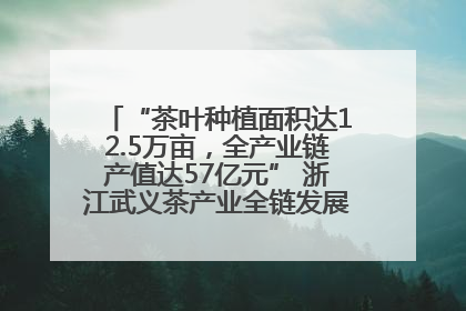 “茶叶种植面积达12.5万亩，全产业链产值达57亿元” 浙江武义茶产业全链发展“加速度”