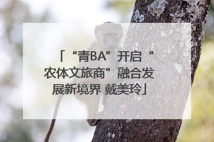 “青BA”开启“农体文旅商”融合发展新境界 戴美玲