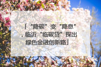 “降碳”变“降息”，临沂“临碳贷”探出绿色金融创新路