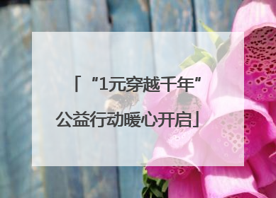 “1元穿越千年”公益行动暖心开启