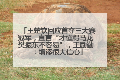 王楚钦回应首夺三大赛冠军，直言“才懂得马龙樊振东不容易”，王励勤：增添很大信心
