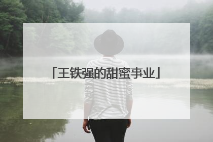 王铁强的甜蜜事业