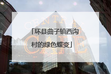 环县曲子镇西沟村的绿色蝶变