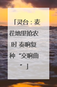 灵台：麦茬地里抢农时 奏响复种“交响曲”