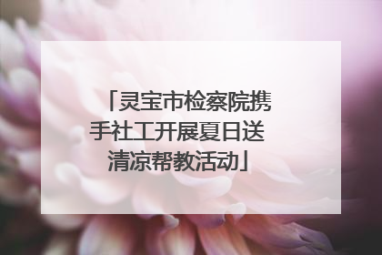 灵宝市检察院携手社工开展夏日送清凉帮教活动